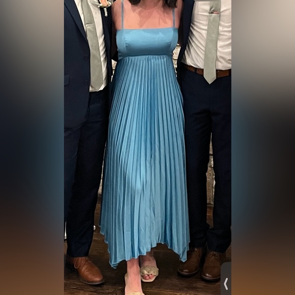 Abercrombie and Fitch Giselle Clasp-Back Pleated Mini Dress - Picture 2 of 4